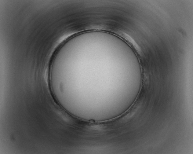 X0000116821035200912312011