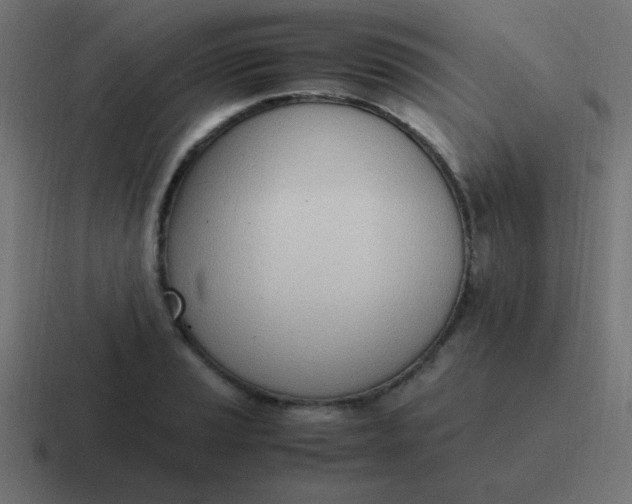 X0000116821037200912312012