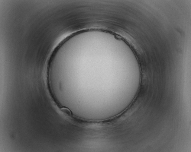 X0000116821038200912312012