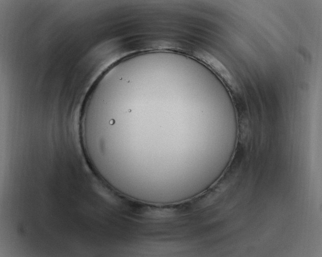 X0000116821039200912312012