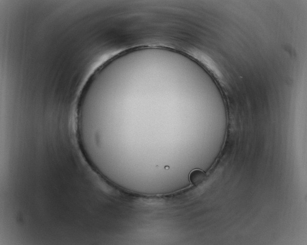 X0000116821040200912312012