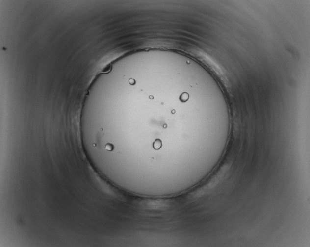 X0000116821041200912312012