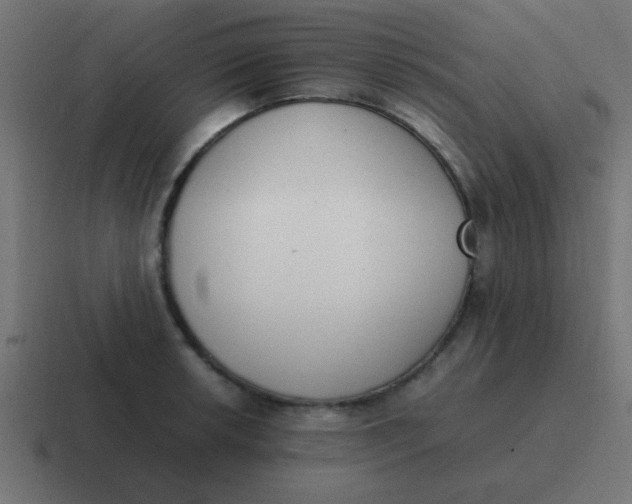 X0000116821042200912312012