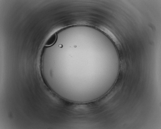 X0000116821043200912312012