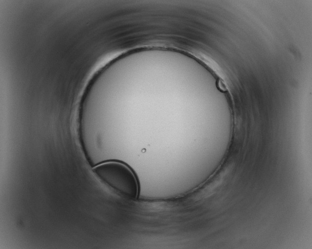 X0000116821045200912312012