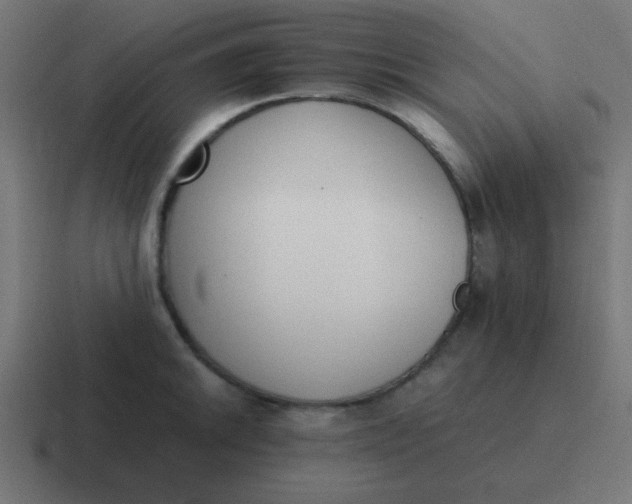 X0000116821046200912312012