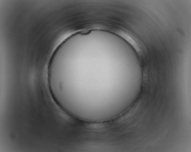 X0000116821047200912312012