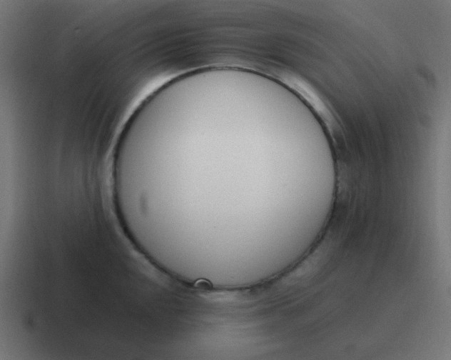 X0000116821048200912312012