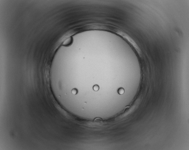 X0000116821049200912312012