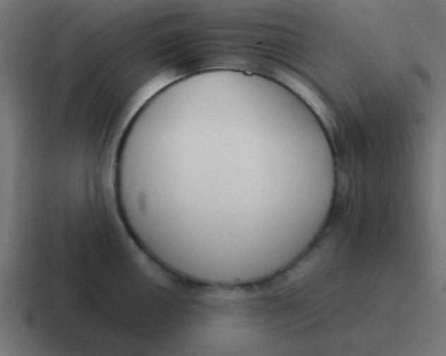 X0000116821050200912312012