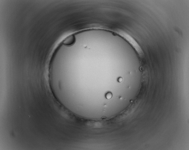 X0000116821051200912312012