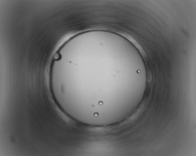 X0000116821054200912312012