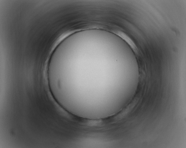 X0000116821055200912312012