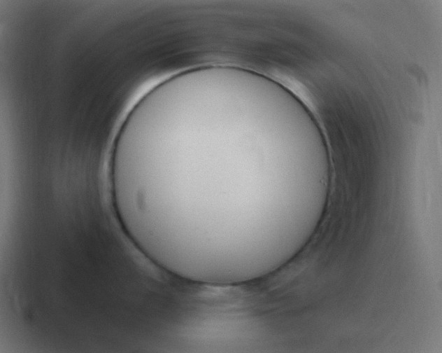 X0000116821056200912312012