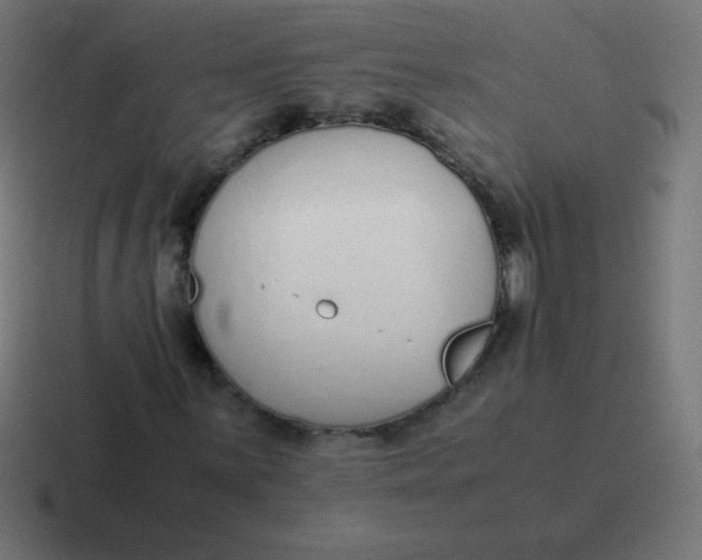 X0000116821059200912312011