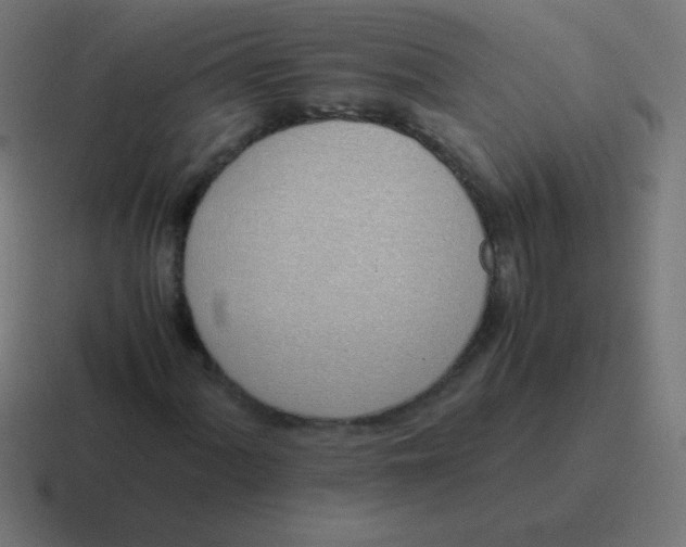 X0000116821060200912312011