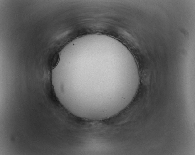 X0000116821061200912312011