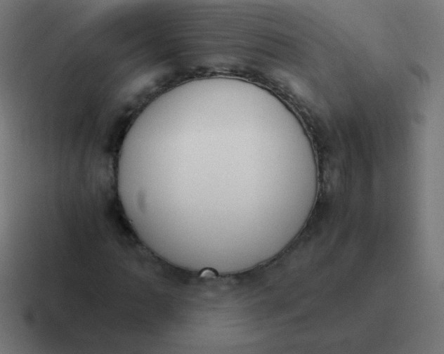 X0000116821062200912312011