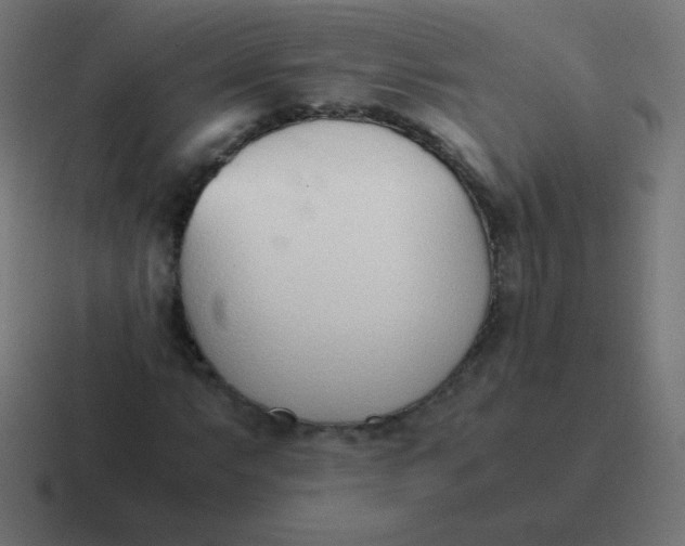 X0000116821063200912312011