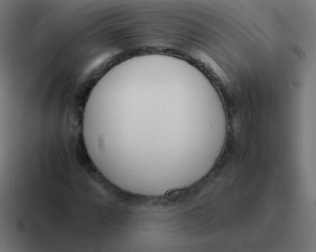 X0000116821064200912312011