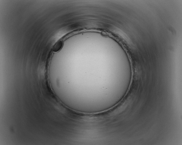 X0000116821065200912312011