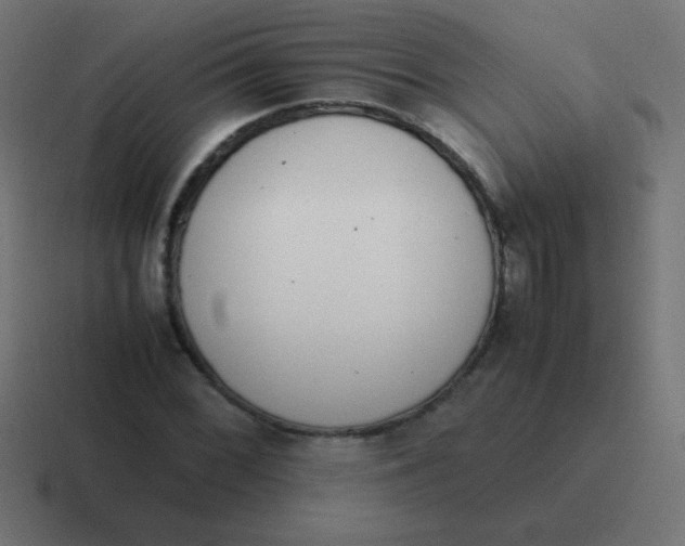 X0000116821068200912312011