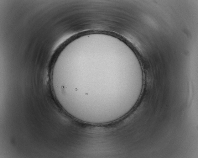 X0000116821070200912312011