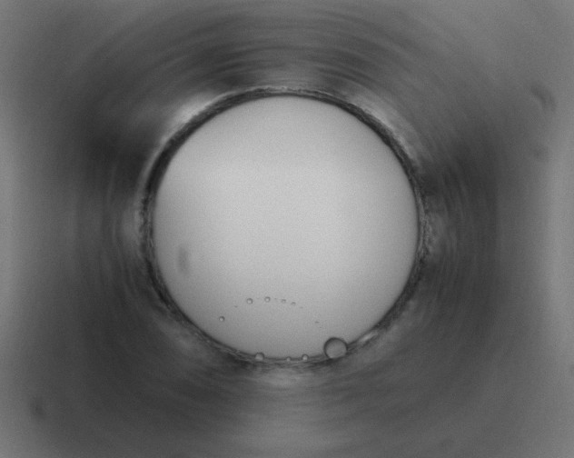 X0000116821074200912312011