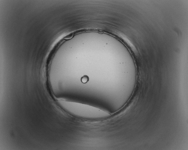 X0000116821075200912312011