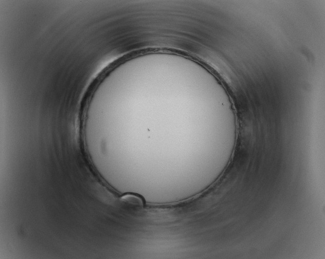 X0000116821076200912312011