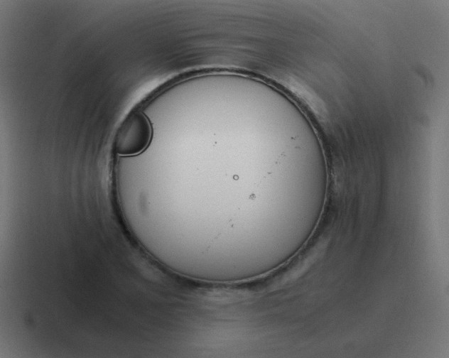 X0000116821077200912312011