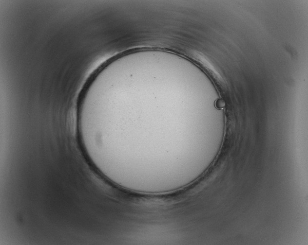 X0000116821079200912312011