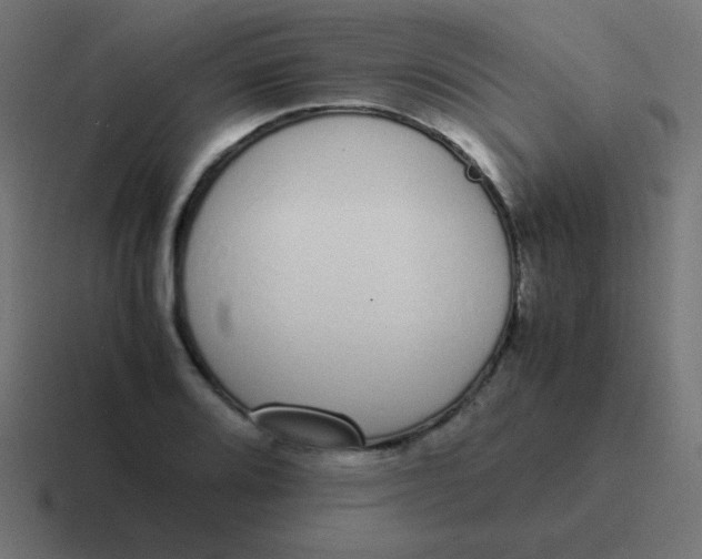 X0000116821080200912312011