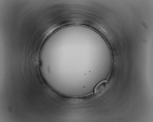 X0000116821081200912312011