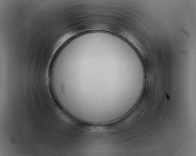 X0000116821082200912312011