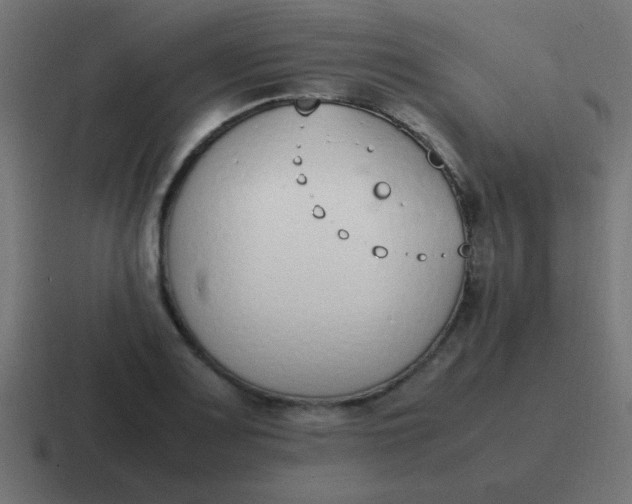 X0000116821083200912312011