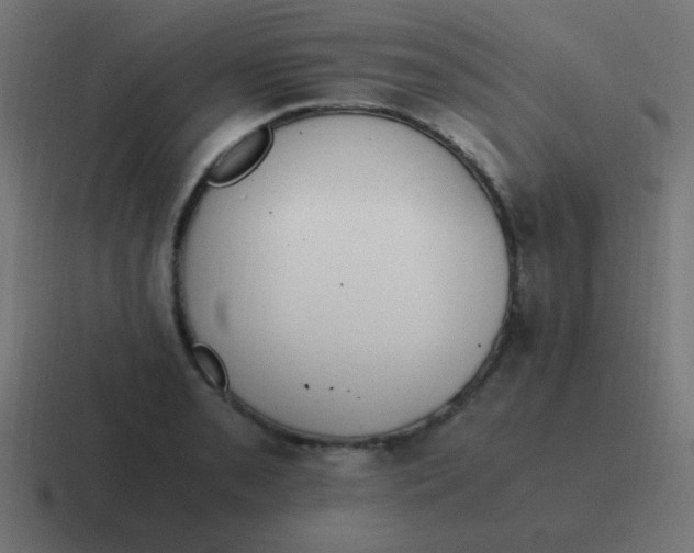 X0000116821085200912312011