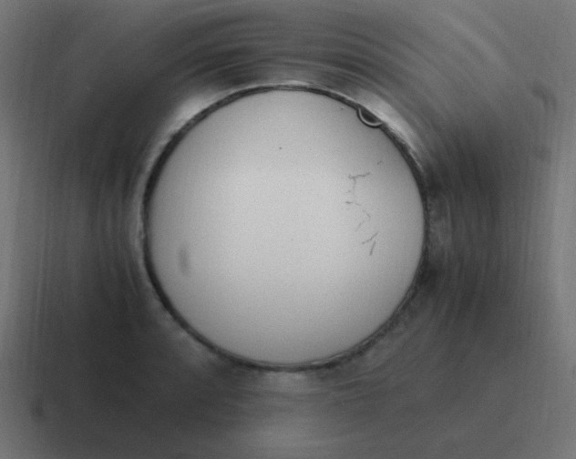 X0000116821088200912312011