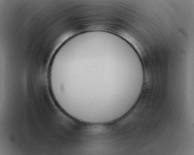 X0000116821090200912312011