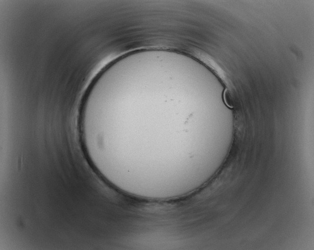 X0000116821091200912312011