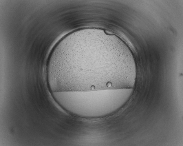 X0000116821092200912312011