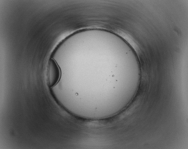 X0000116821093200912312011