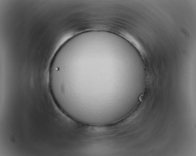 X0000116821095200912312011