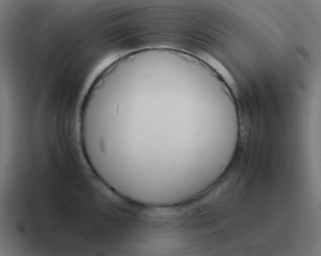 X0000116821096200912312011