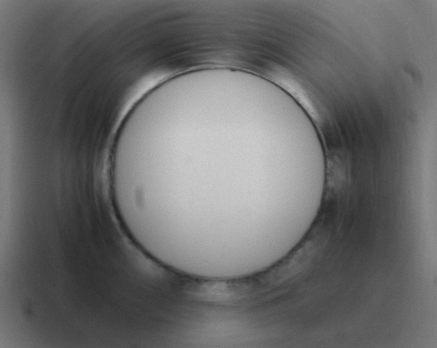 X0000116821098200912312011