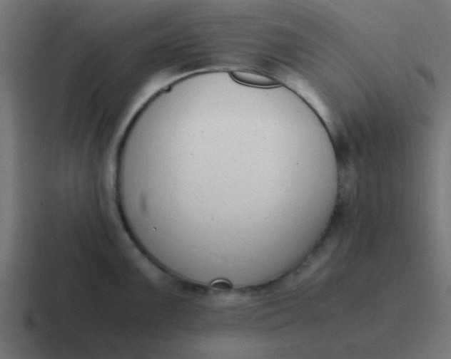 X0000116821099200912312011