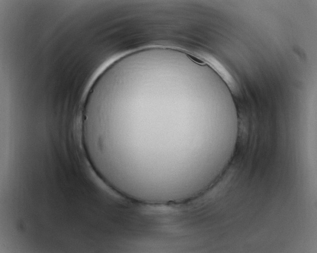 X0000116821100200912312011