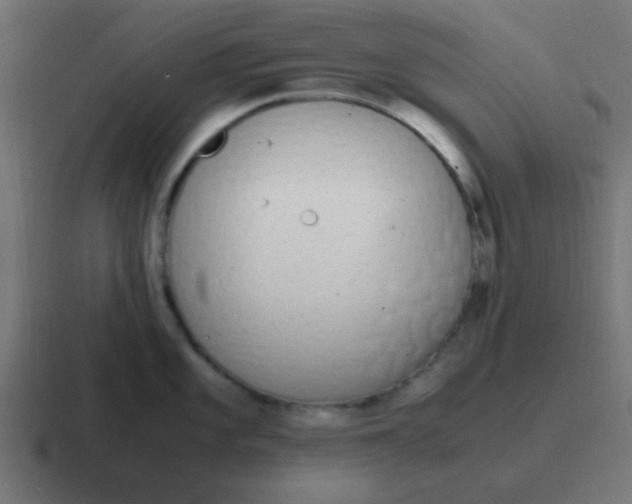 X0000116821101200912312011