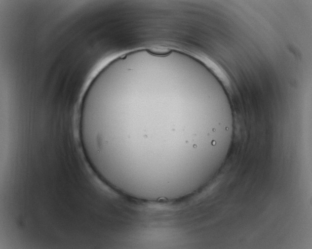 X0000116821102200912312011