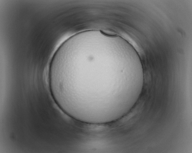 X0000116821103200912312011